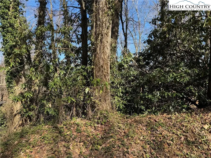 TBD Wonderland Trail, Blowing Rock, NC 28605 - #3