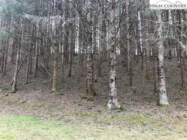 Tract 101 Valle Cay Drive, Vilas, NC 28692 - #3