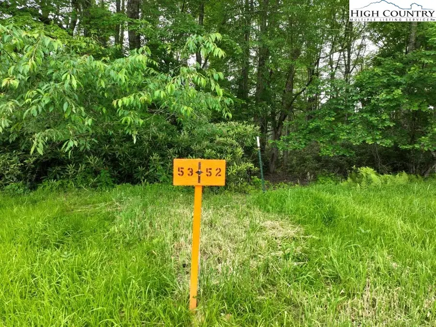 1762 Ripshin Mountain Road, Roan Mountain, TN 37687 - #2