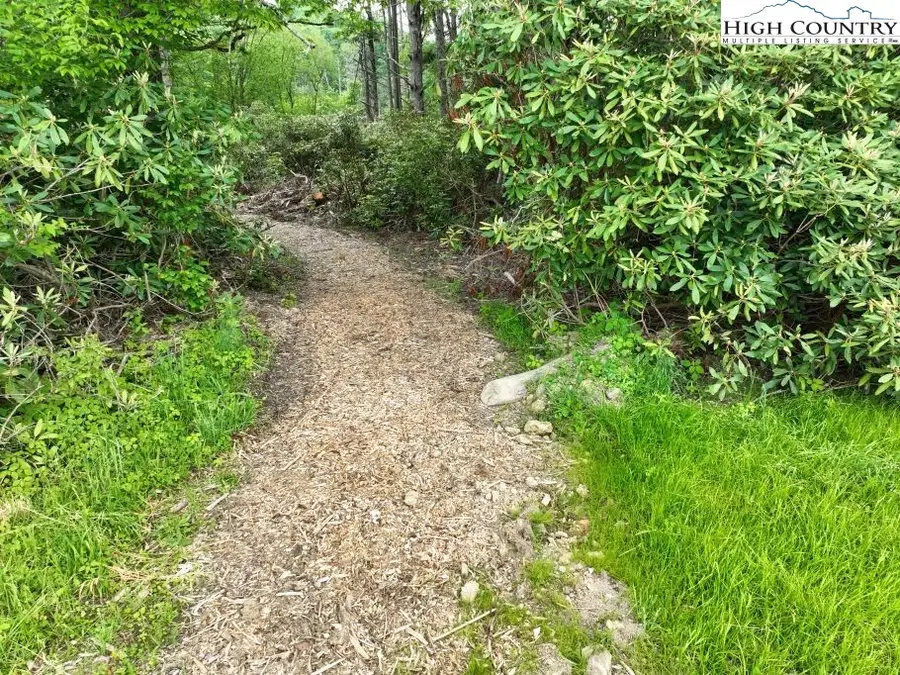 1764 Ripshin Mountain Road, Roan Mountain, TN 37687 - #2