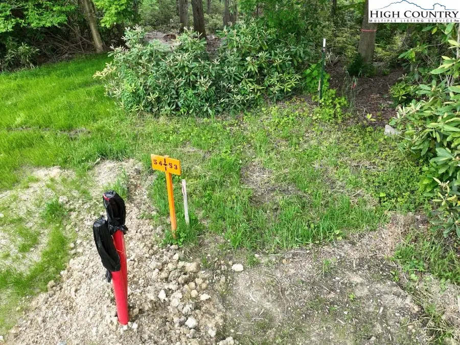 1764 Ripshin Mountain Road, Roan Mountain, TN 37687 - #3