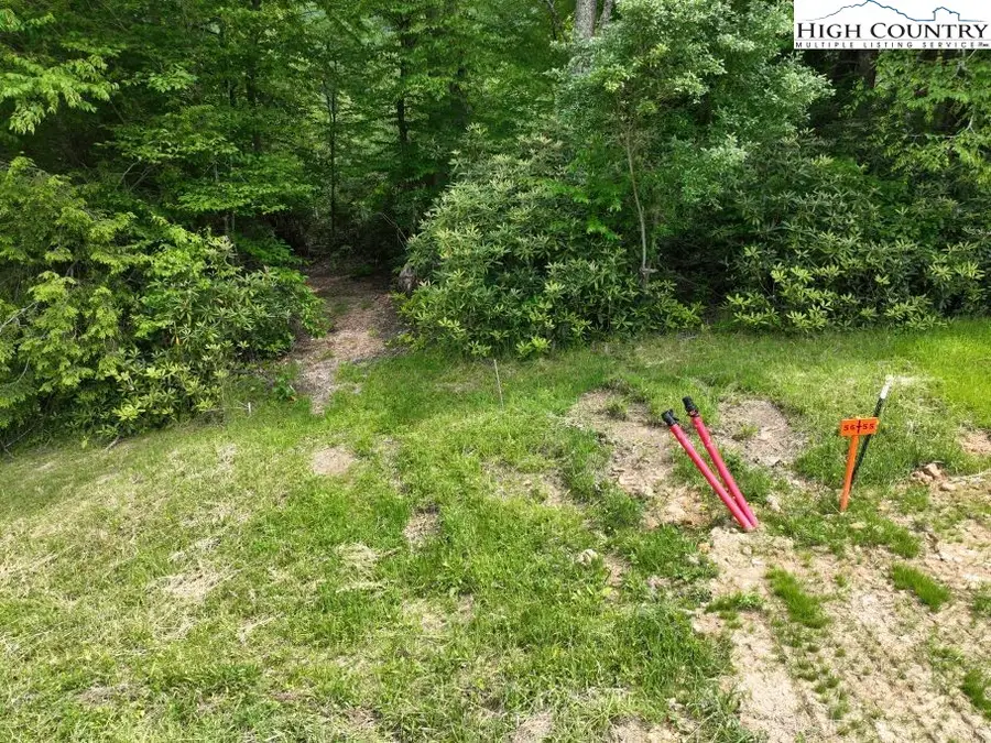 1768 Ripshin Mountain Road, Roan Mountain, TN 37687 - #2