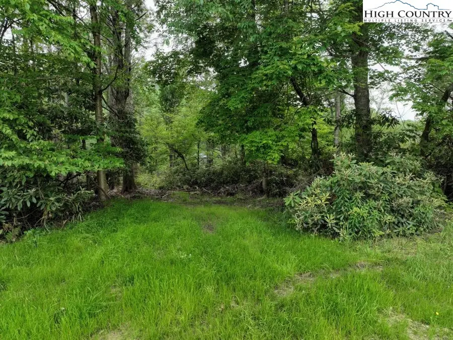 1768 Ripshin Mountain Road, Roan Mountain, TN 37687 - #3