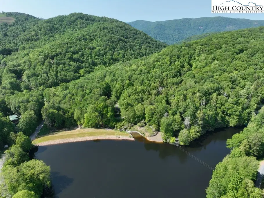 1772 Ripshin Mountain Road, Roan Mountain, TN 37687 - #1