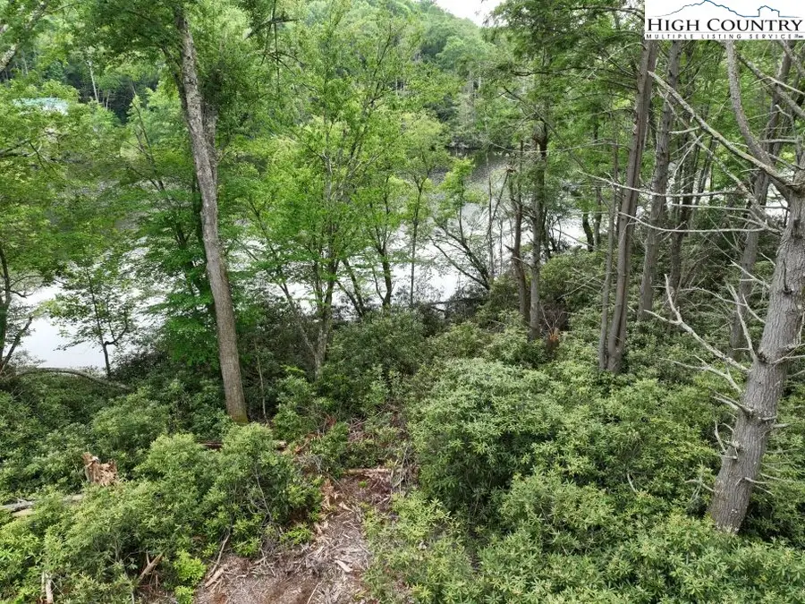 1772 Ripshin Mountain Road, Roan Mountain, TN 37687 - #2