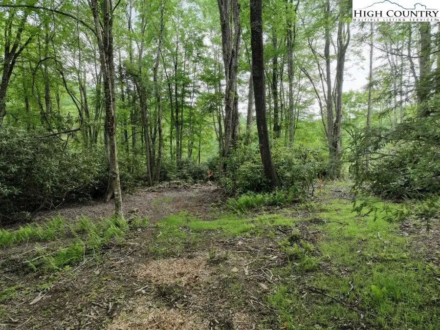 1776 Ripshin Mountain Road, Roan Mountain, TN 37687 - #3