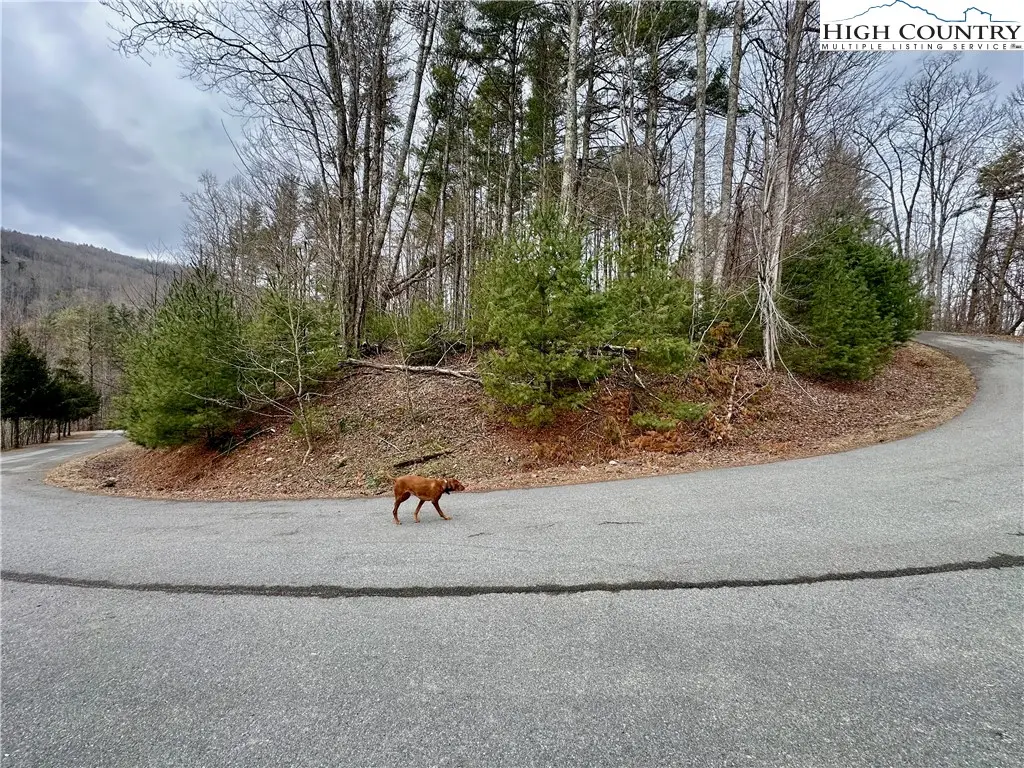 TBD Mantera Ridge, Sugar Grove, NC 28679 - #1