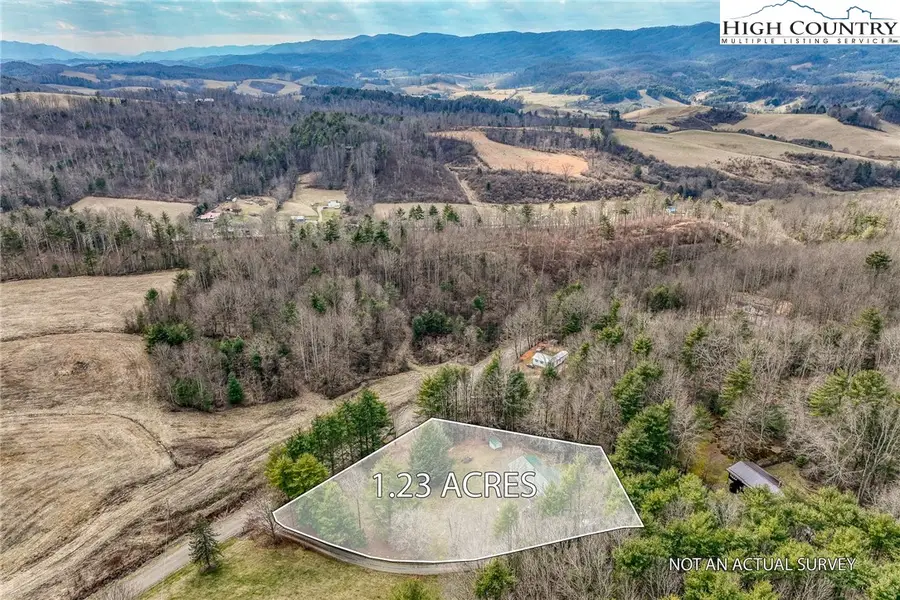 557 Waddell Road, Mountain City, TN 37683 - #2