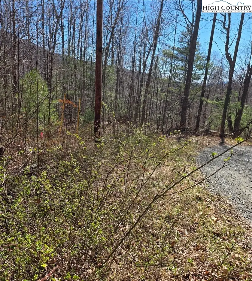 23 Altamont Way, Newland, NC 28657 - #3