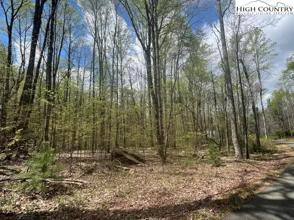 Lot 45 Sonterra Drive, Lansing, NC 28643