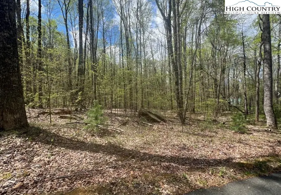 Lot 45 Sonterra Drive, Lansing, NC 28643 - #2
