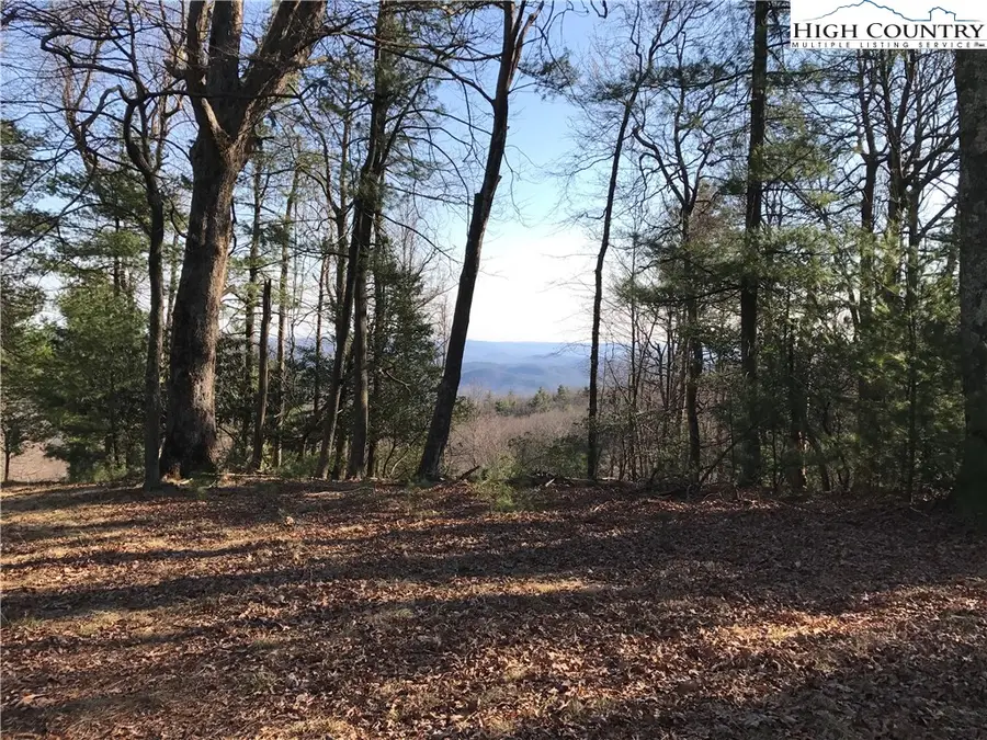 Lot 156C Oak Circle, Glade Valley, NC 28627 - #3