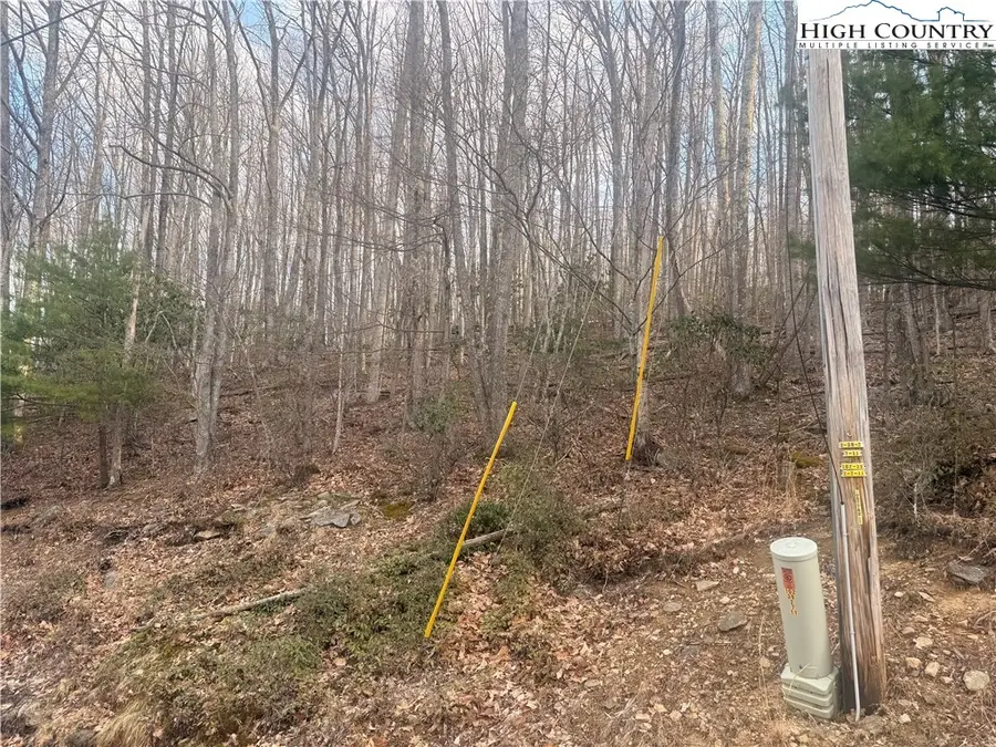 212 Jackpine Road, Beech Mountain, NC 28604 - #3