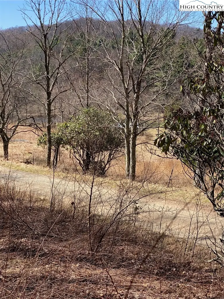 TBD Starmount Lane, Sparta, NC 28675 - #3