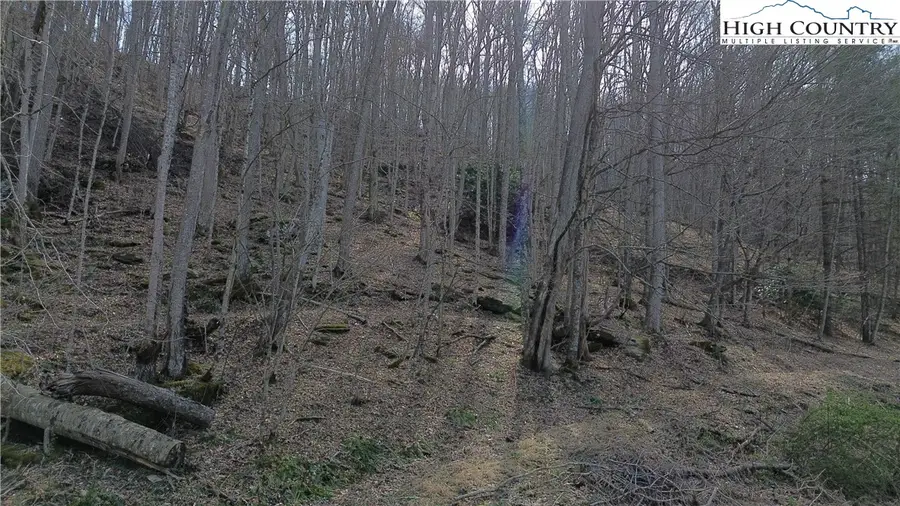 TBD Parker Eller Road, Lansing, NC 28643 - #2