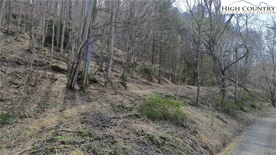 TBD Parker Eller Road, Lansing, NC 28643 - #3