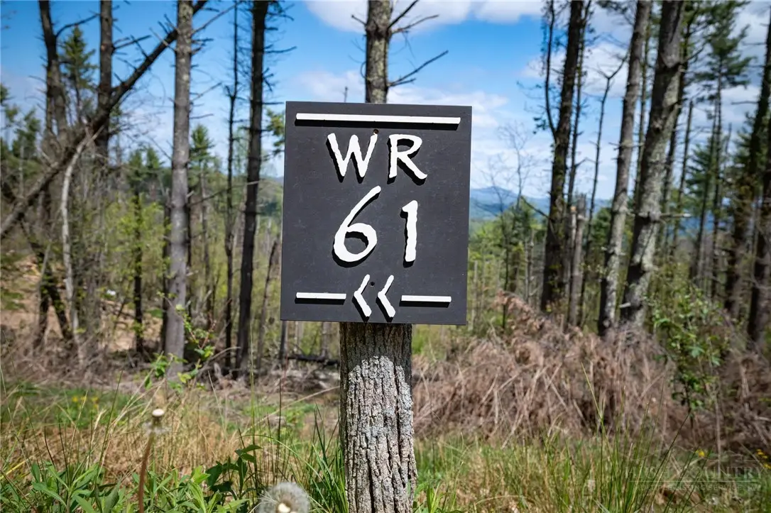 WR-61 Clouds Rest Drive, Elk Park, NC 28622 - #1