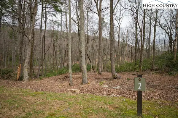 Lot 2 Wildcat Wilderness Parkway, Deep Gap, NC 28618