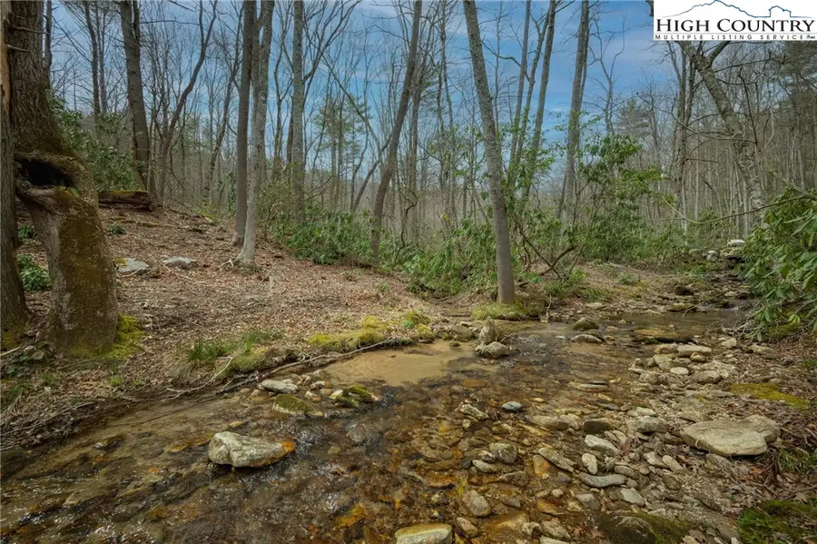 Lot 2 Wildcat Wilderness Parkway, Deep Gap, NC 28618 - #3