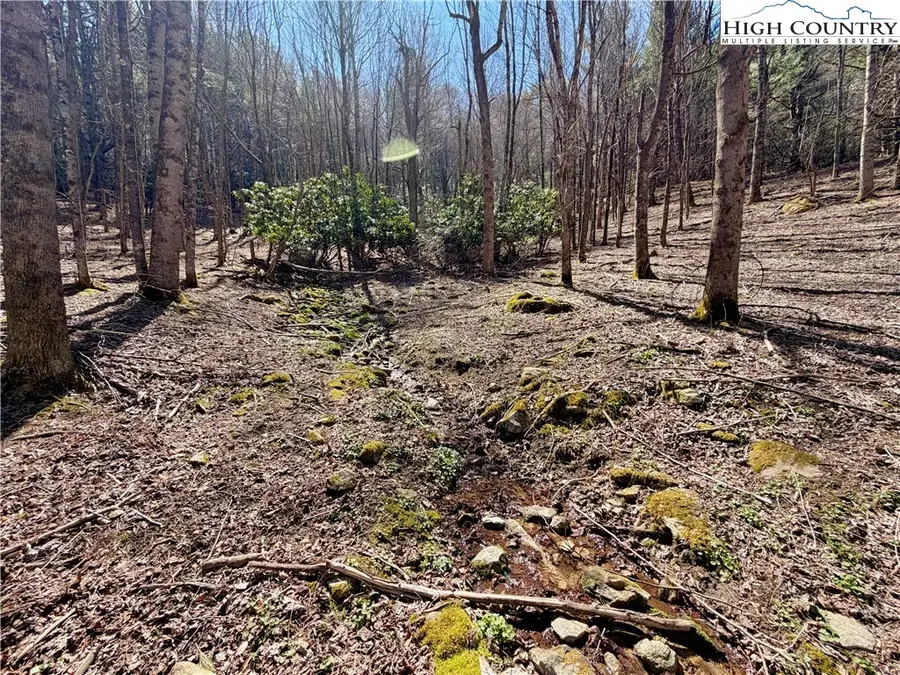 TBD George Hayes Road, Boone, NC 28607 - #2