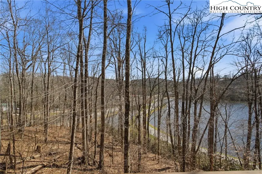 154 Lady Slipper Loop, Newland, NC 28657 - #2