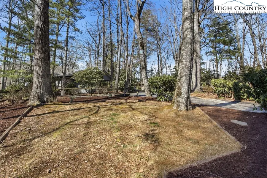 154 Lady Slipper Loop, Newland, NC 28657 - #3