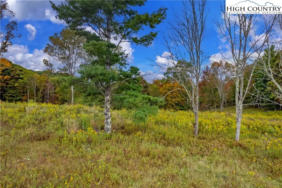 N-55 Eagles Creek Trail, Banner Elk, NC 28604 - #2