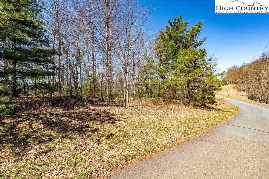 Lot 10 Callalantee Drive, Mountain City, TN 37683 - #2