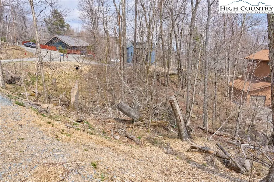 101 Foxgrape Hollow Road, Beech Mountain, NC 28604 - #3