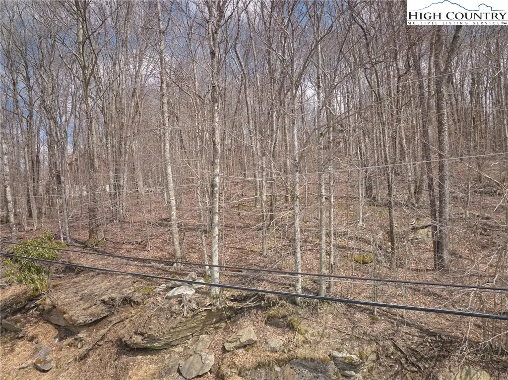 217 Overbrook Trail, Beech Mountain, NC 28604 - #1