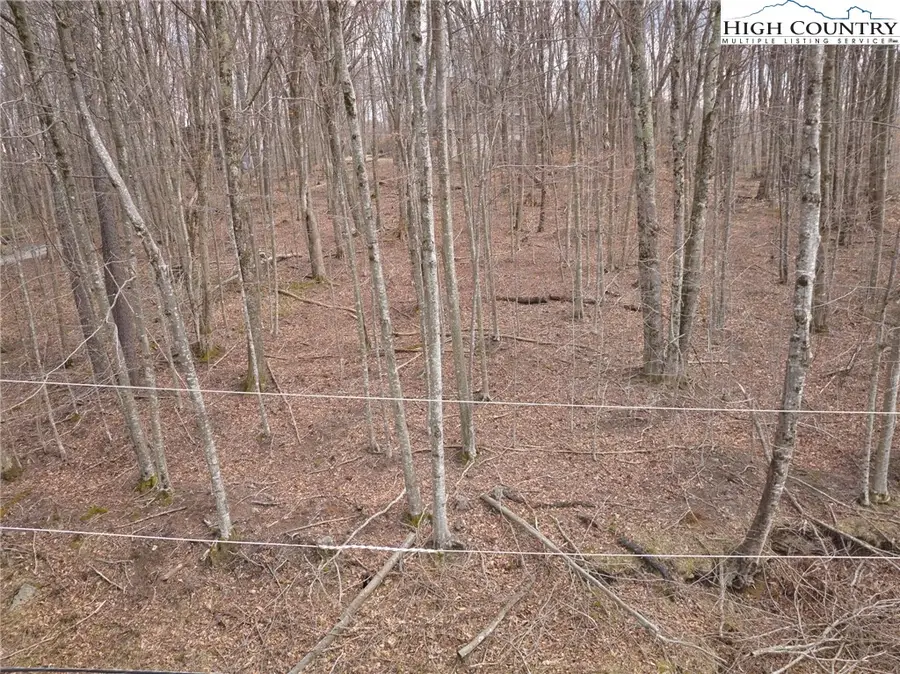 217 Overbrook Trail, Beech Mountain, NC 28604 - #2