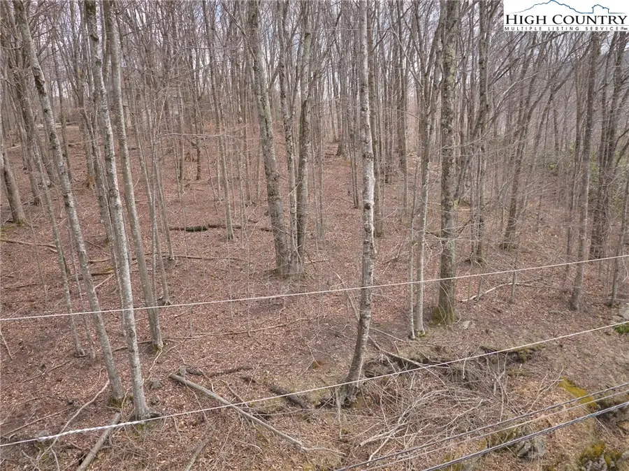 217 Overbrook Trail, Beech Mountain, NC 28604 - #3