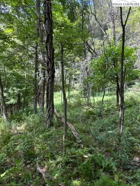 TBD Black Rock Mountain Rd., Independence, VA 24348 - #2