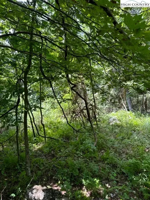 TBD Black Rock Mountain Rd., Independence, VA 24348 - #3