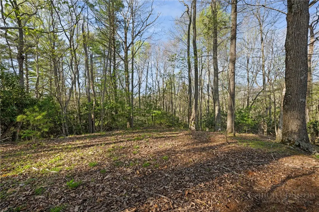 TBD Man O War Drive, Vilas, NC 28692 - #1