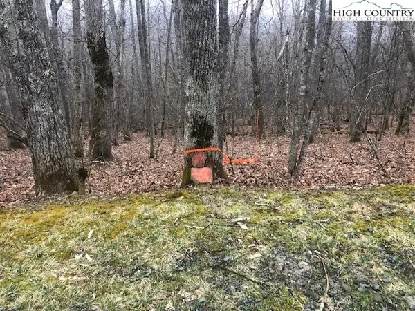 TBD Saddle Road, Boone, NC 28607