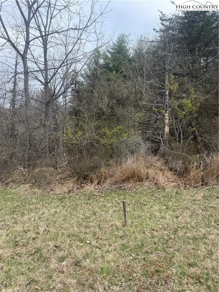 TBD Lucky Hill, Piney Creek, NC 28631 - #2