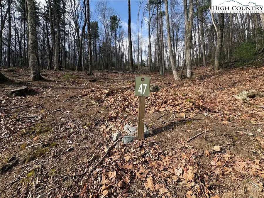 TBD Wildcat Wilderness Parkway, Deep Gap, NC 28618 - #3