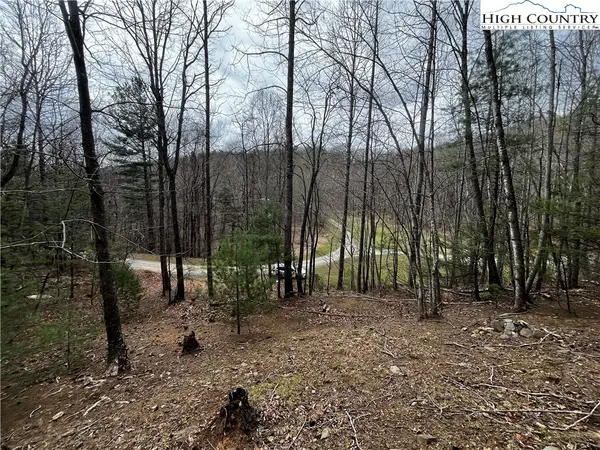 Lot 16 Bear Creek Lane, Deep Gap, NC 28618