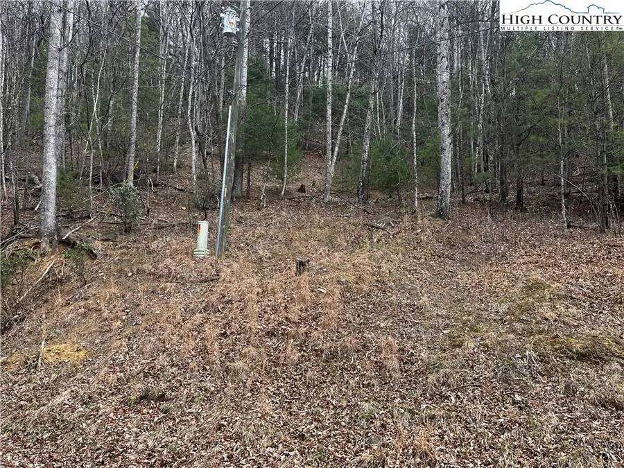 Lot 16 Bear Creek Lane, Deep Gap, NC 28618 - #2