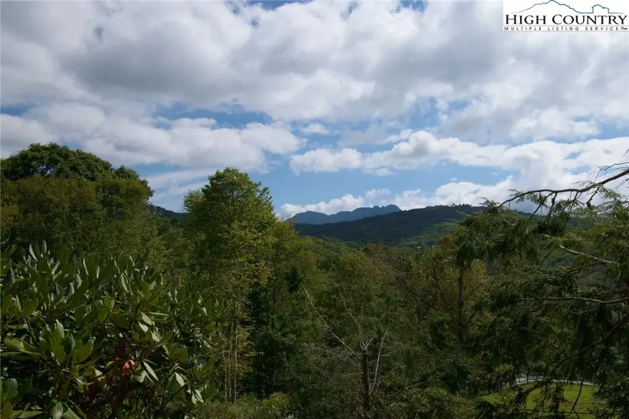 2209/2211 Sugar Mountain 2 Road, Newland, NC 28657 - #3