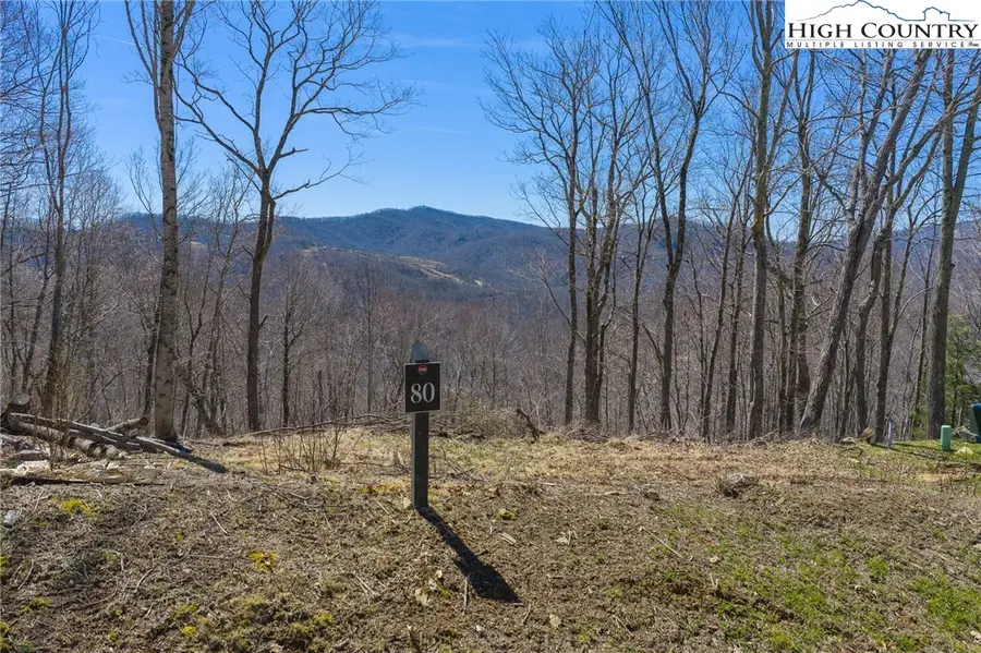 Lot 80 Bear Paw Road, Elk Park, NC 28622 - #3