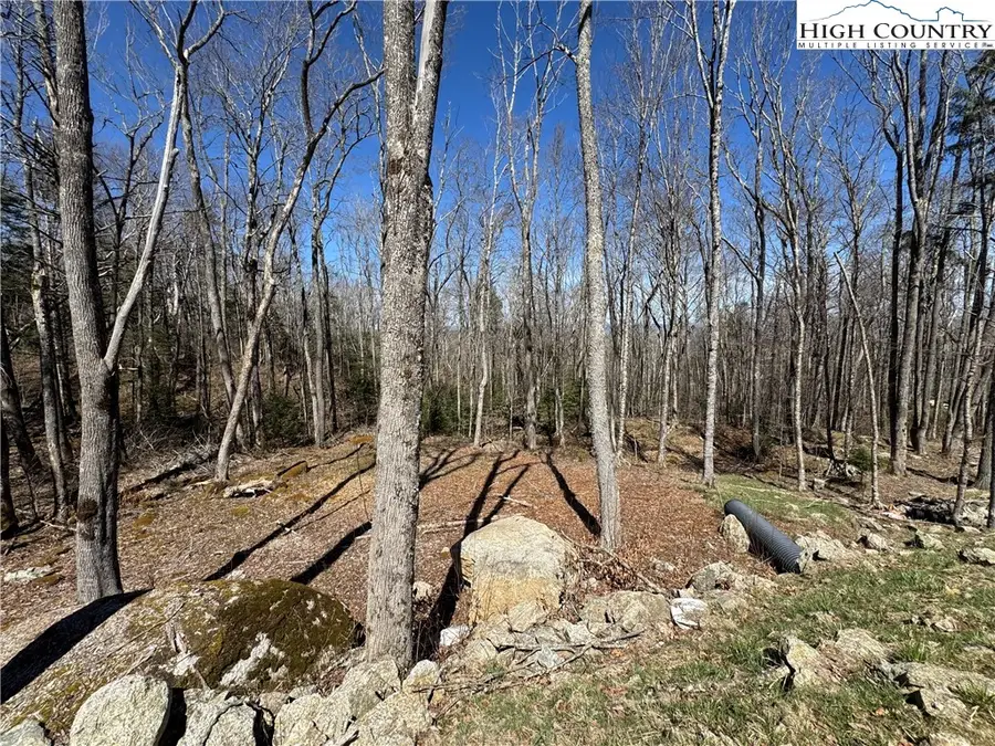 ES71 Twisted Oak Path, Banner Elk, NC 28604 - #2