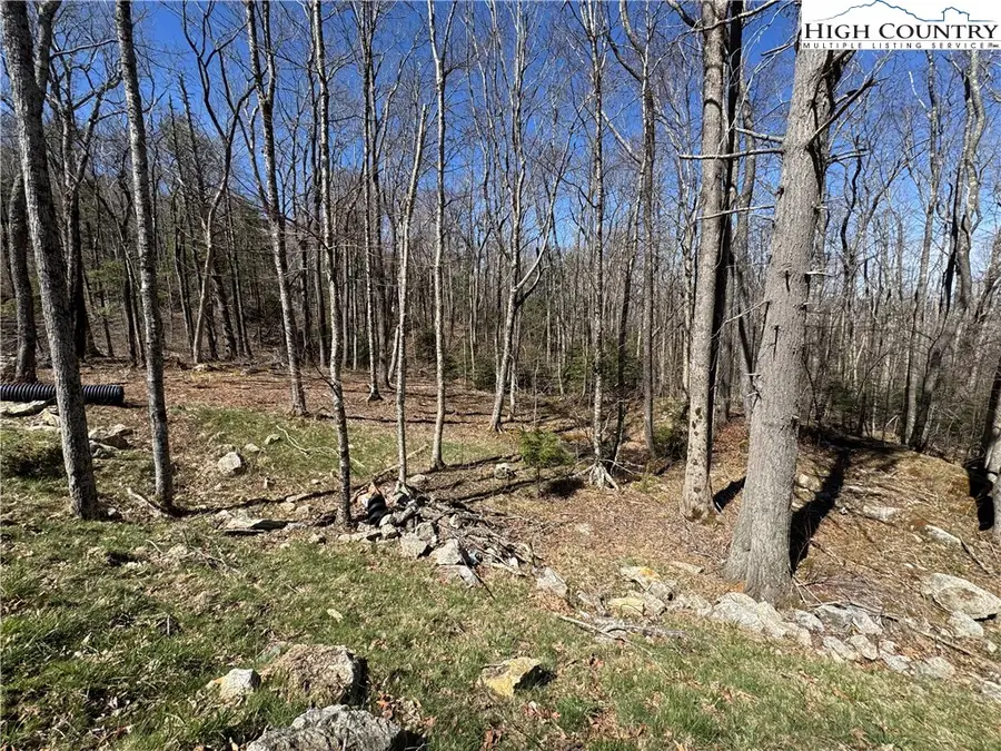 ES71 Twisted Oak Path, Banner Elk, NC 28604 - #3