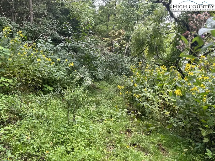 TBD Ed Williams Road, Zionville, NC 28698 - #2