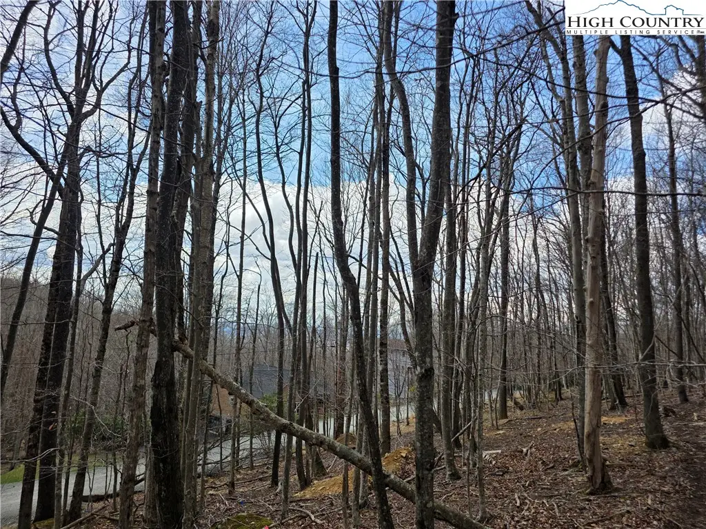 109 Hawthorne Road, Beech Mountain, NC 28604 - #1