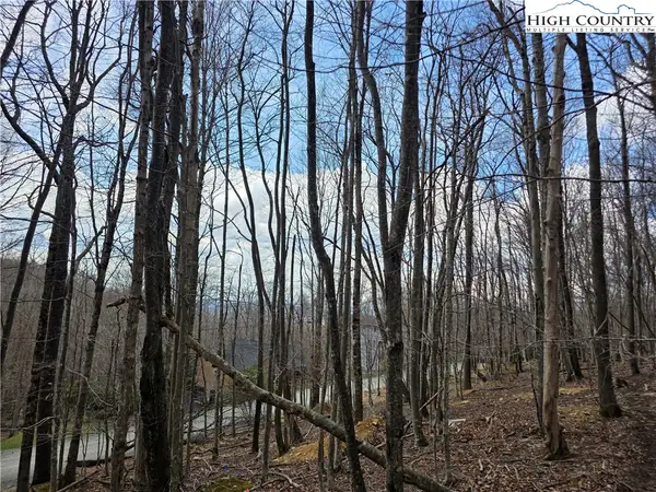 109 Hawthorne Road, Beech Mountain, NC 28604