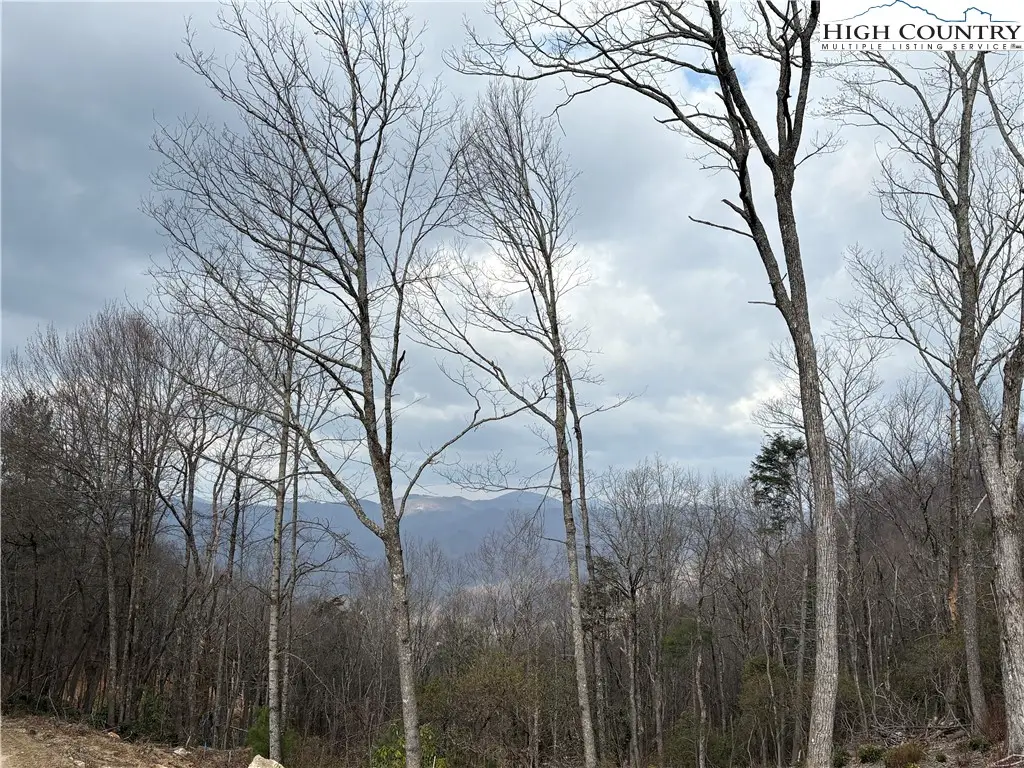 TBD Angelfire Trail, Deep Gap, NC 28618 - #1