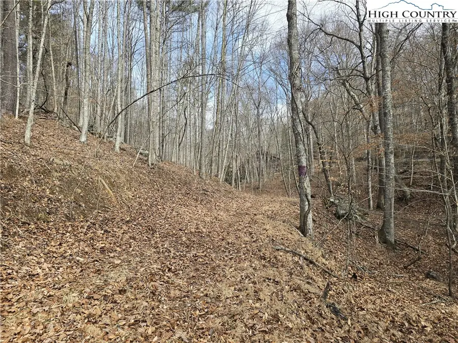 TBD (Lots 42 & 43) Happy Ridge Road, Piney Creek, NC 28663 - #3