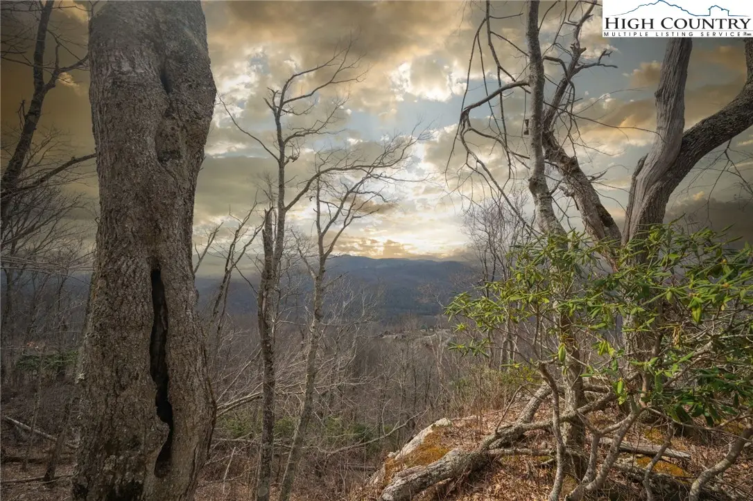 L-59 Eagle Cliff Trail, Banner Elk, NC 28604 - #1